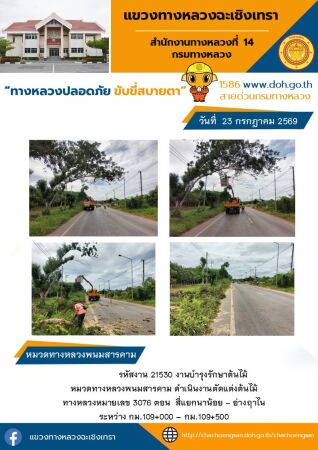 งานบำรุงรักษาต้นไม้