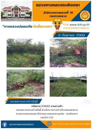 งานถางป่า
