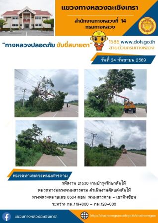 งานบำรุงรักษาต้นไม้