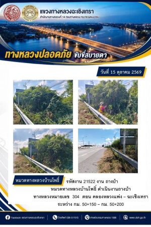 งานถางป่า