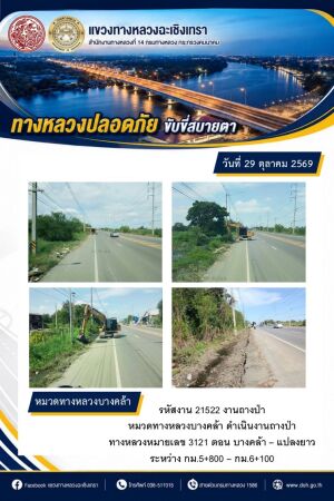 งานถางป่า